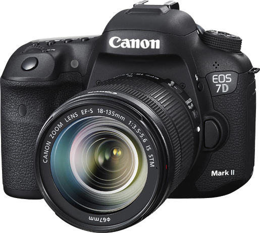 予約販売】本 Canon EOS 7D MARK II 標準レンズセット デジタルカメラ ...